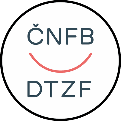 Logo des Deutsch-Tschechischen Zukunftsfonds